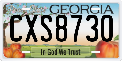 GA license plate CXS8730