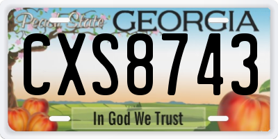 GA license plate CXS8743