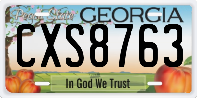 GA license plate CXS8763
