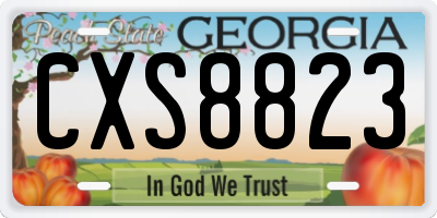 GA license plate CXS8823