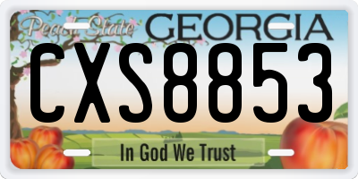 GA license plate CXS8853