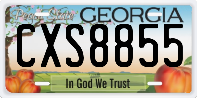 GA license plate CXS8855