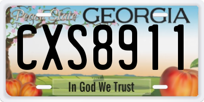 GA license plate CXS8911