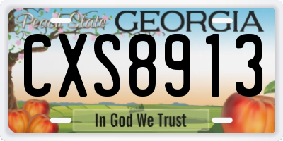 GA license plate CXS8913