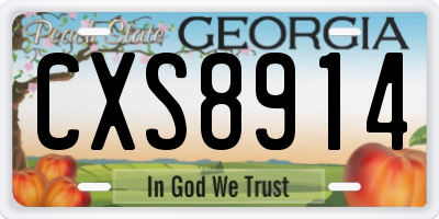 GA license plate CXS8914