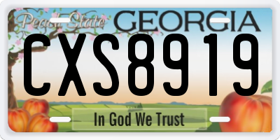 GA license plate CXS8919