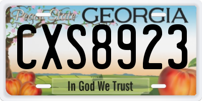 GA license plate CXS8923