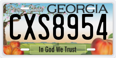 GA license plate CXS8954
