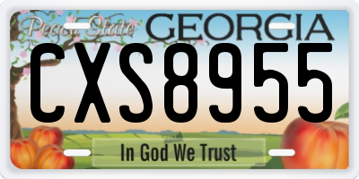 GA license plate CXS8955