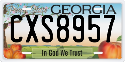 GA license plate CXS8957