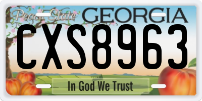 GA license plate CXS8963