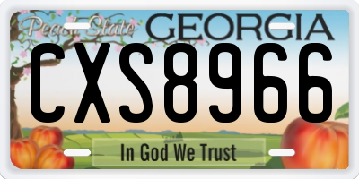 GA license plate CXS8966