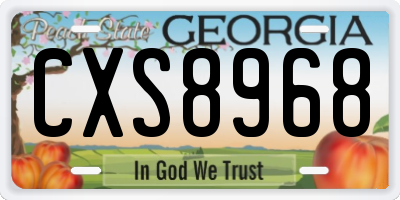 GA license plate CXS8968