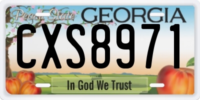 GA license plate CXS8971