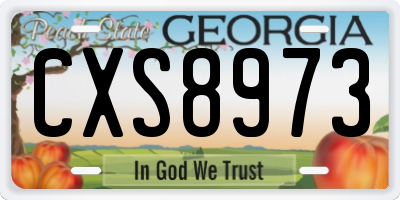 GA license plate CXS8973