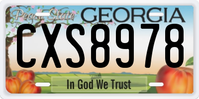 GA license plate CXS8978
