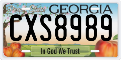 GA license plate CXS8989