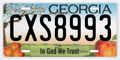 GA license plate CXS8993