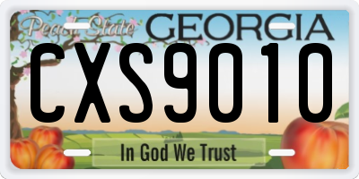 GA license plate CXS9010