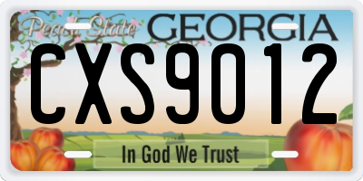 GA license plate CXS9012