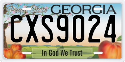 GA license plate CXS9024