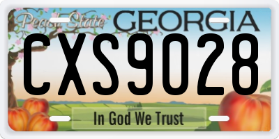 GA license plate CXS9028