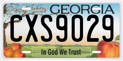GA license plate CXS9029