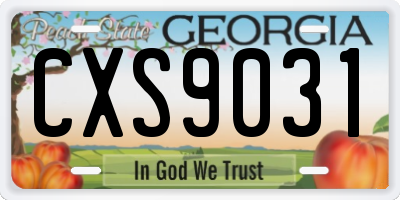 GA license plate CXS9031