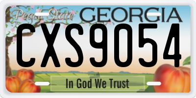 GA license plate CXS9054