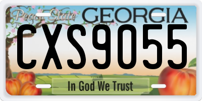 GA license plate CXS9055