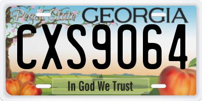 GA license plate CXS9064