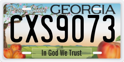 GA license plate CXS9073