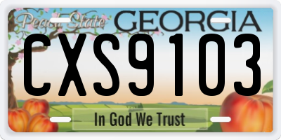 GA license plate CXS9103