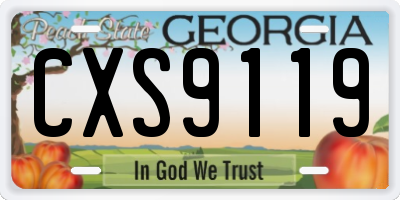 GA license plate CXS9119