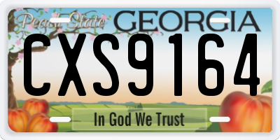 GA license plate CXS9164