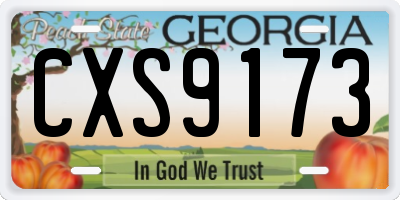 GA license plate CXS9173