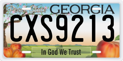 GA license plate CXS9213