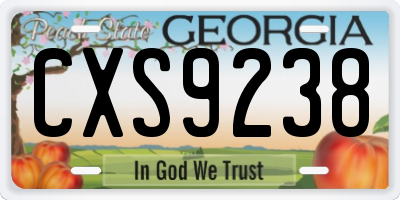 GA license plate CXS9238