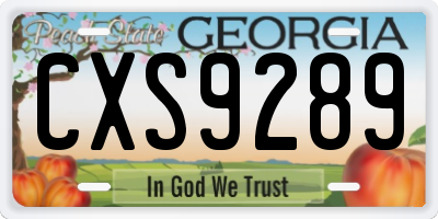 GA license plate CXS9289