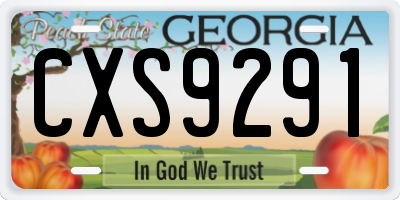 GA license plate CXS9291