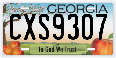 GA license plate CXS9307