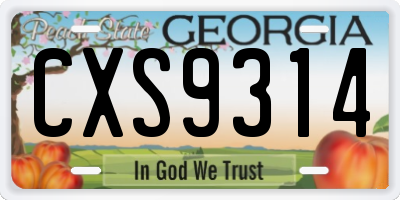 GA license plate CXS9314