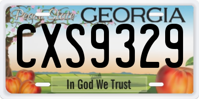 GA license plate CXS9329