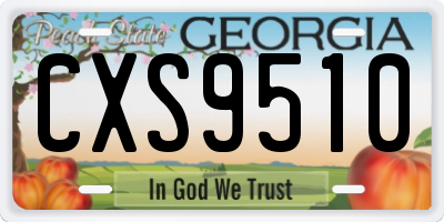 GA license plate CXS9510