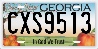 GA license plate CXS9513