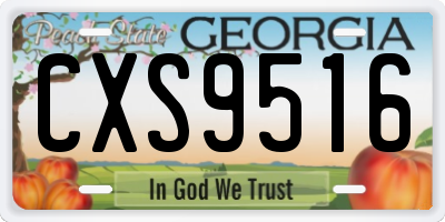 GA license plate CXS9516