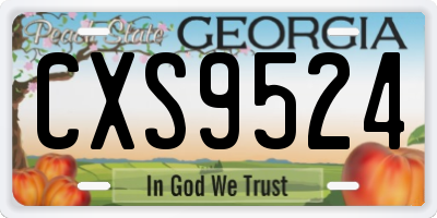 GA license plate CXS9524