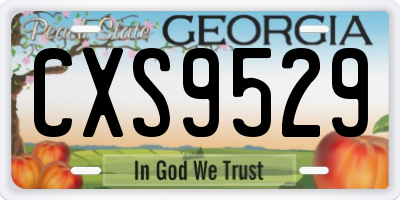 GA license plate CXS9529