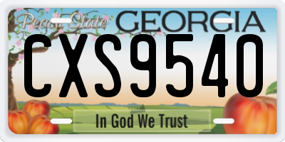 GA license plate CXS9540