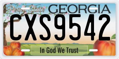 GA license plate CXS9542